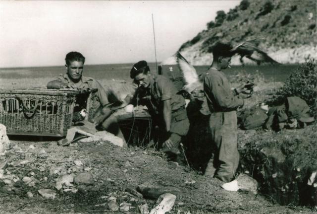 Jack Rawlinson (centre) and others - Sarande Oct'44