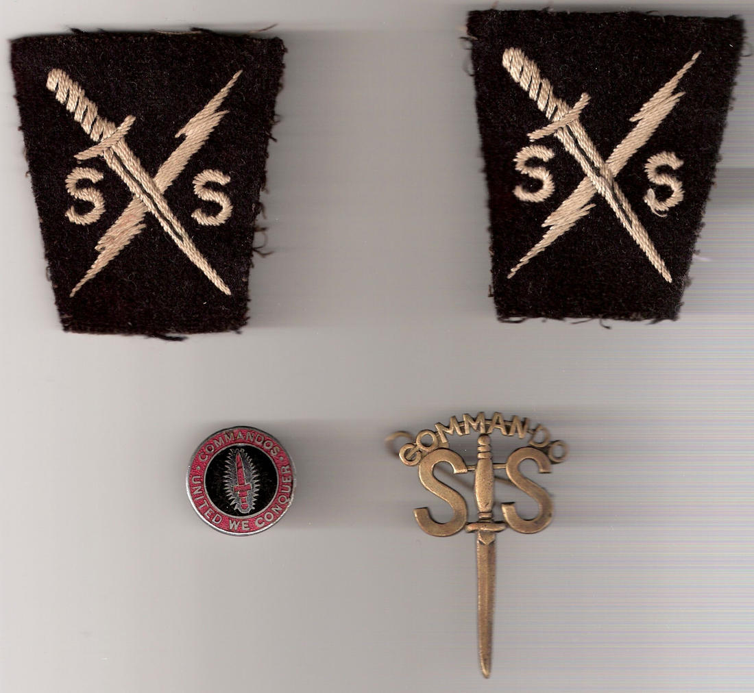 Special Service insignia and Commando Assoc. badges of Roy Lewis