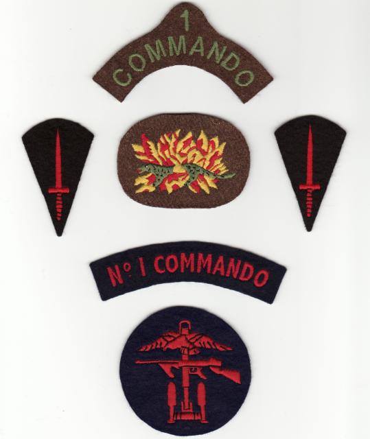 No1 Commando Insignia group.