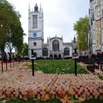 Westminster Abbey November 2012 (4).