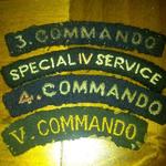 Commando Insignia collection of Ted Land