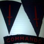 Commando Insignia (4)