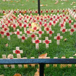 Remembrance service by the memorial in the cloisters at Westminster Abbey (5)