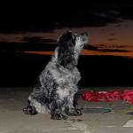 Commando Memorial, Spean Bridge_33