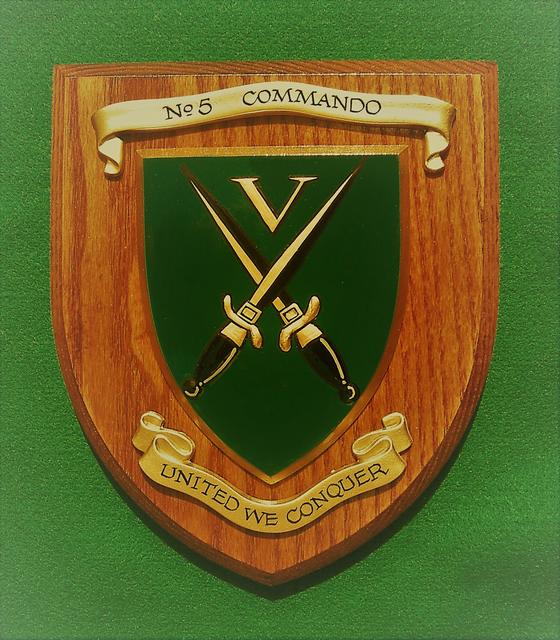 No5 Cdo  Shield