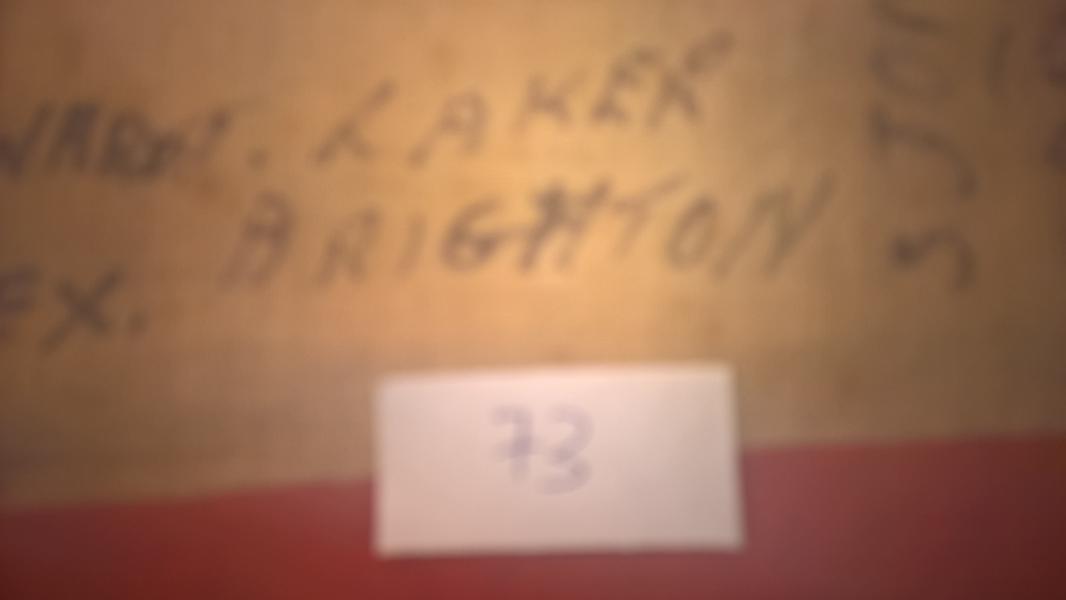 73 - T Laker - Brighton