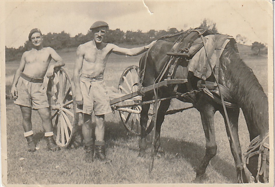 Ginger, Georgie and the horse. Fanling, 1945
