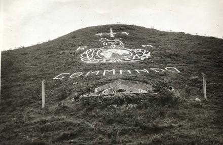 44RM Commando crest at Fanling