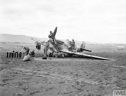 3203 Servicing Commando, RAF - Op Torch