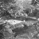 Zoological Gardens, India, January 1944