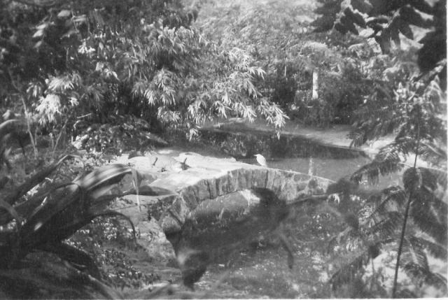 Zoological Gardens, India, January 1944