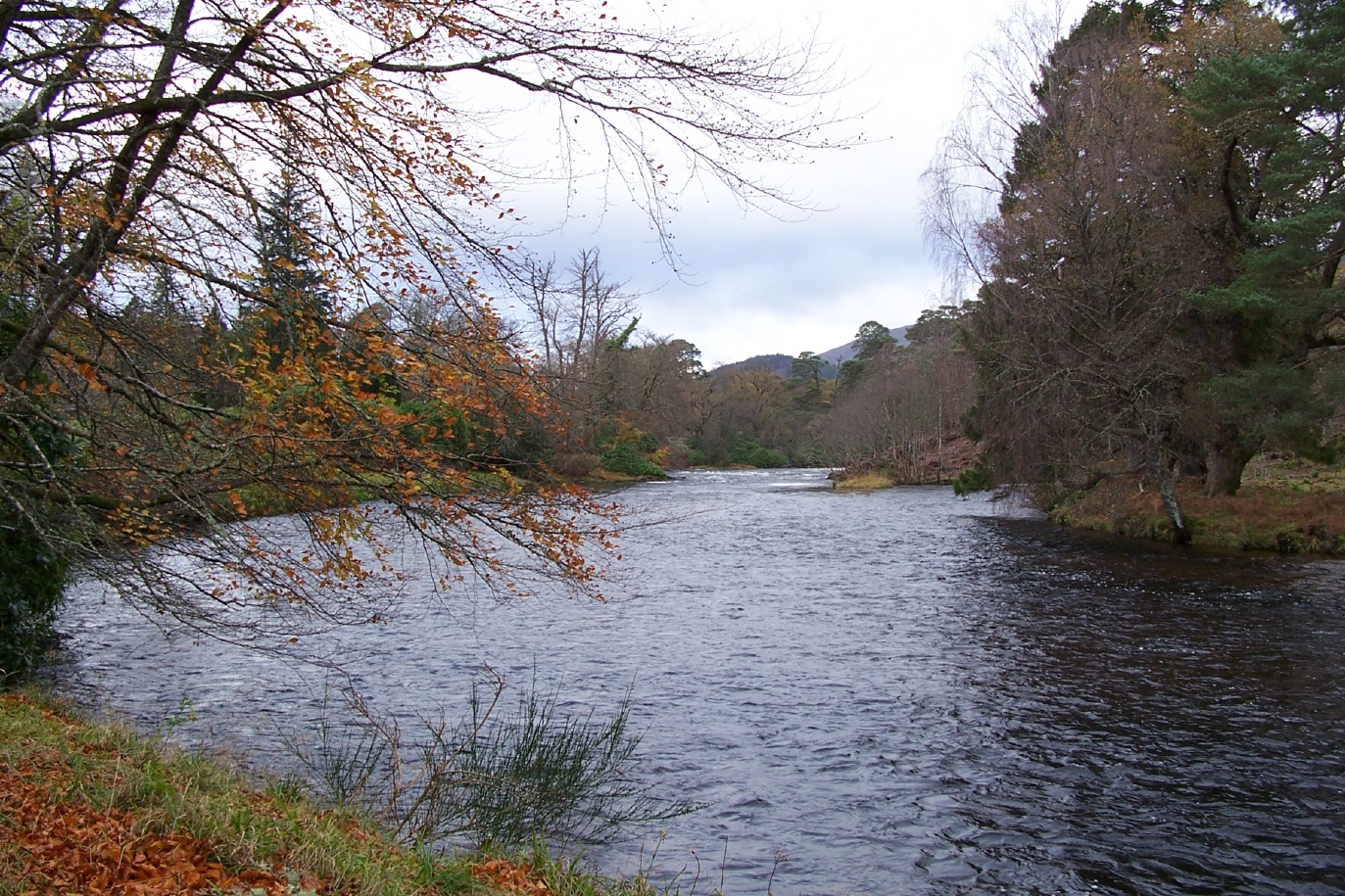 River Arkaig