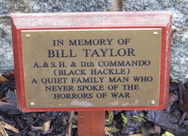 Bill Taylor  No.11 Cdo