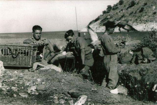 Jack Rawlinson, No.2 Cdo. Signals (centre) and others - Sarande Oct'44