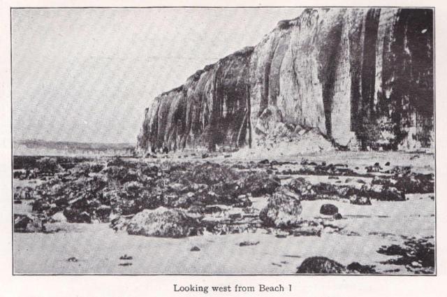 Looking West from Beach One