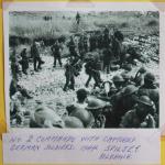 No.2 Cdos with captured German soldiers, Spilje, Albania 29th July 1944.