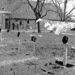 Graves of Fallen Commandos in Holland