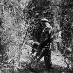 Naval telegraphist W J Crooks operating from a forward observation post in the Sword area.