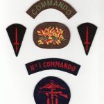 No1 Commando Insignia group.