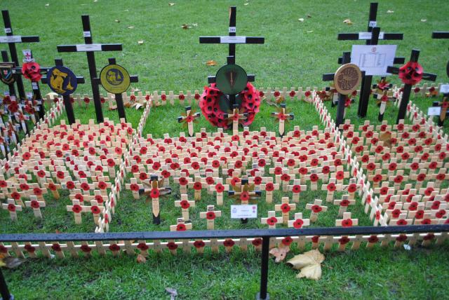 Westminster Abbey November 2012 (2).