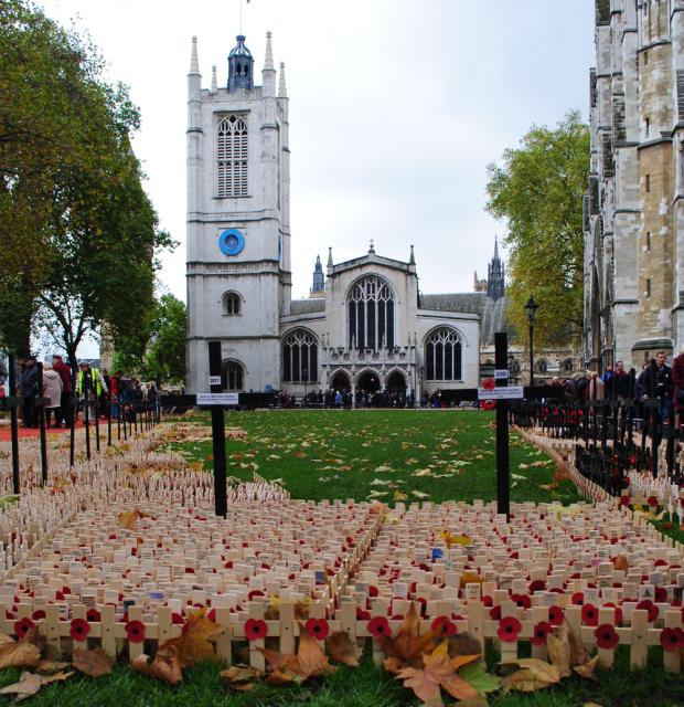 Westminster Abbey November 2012 (4).