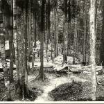 42 Commando RM Borneo and Singapore (21).