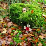 The cross in memory of Bob Bishop MC