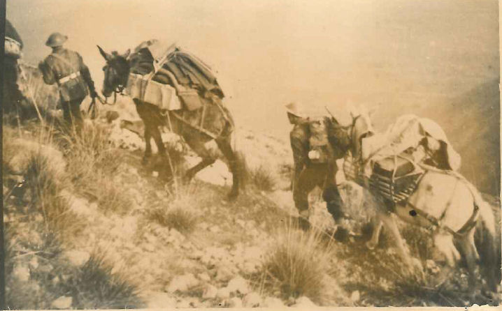 Photo from the collection of Cpl James McCormack