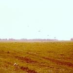 148 Commando Forward Observation Bty RA, Everleigh Drop Zone May 1979