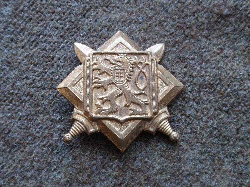 Free Czechoslovakian cap badge.