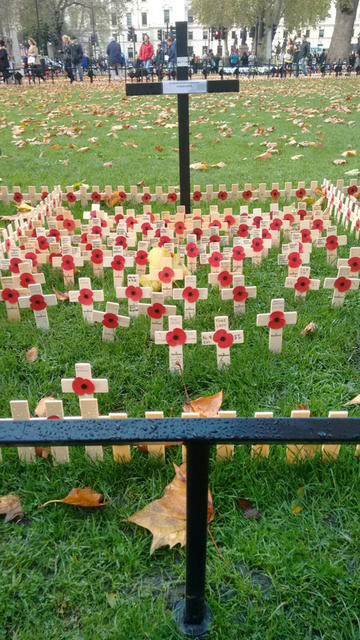 Remembrance service by the memorial in the cloisters at Westminster Abbey (5)