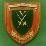 No5 Cdo  Shield