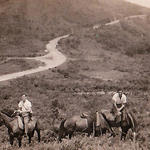 Members of No.5 Commando on horseback