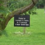 Plaque on a tree for Lt. C.J. Smalley  No.5 Commando.