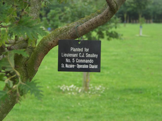 Plaque on a tree for Lt. C.J. Smalley  No.5 Commando.