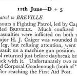 Extract about the death of Cpl Goodenough 45RM Commando