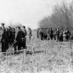 No. 2 Commandos with German prisoners (2)