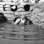 Recruit emerging from original Endurance Course water tunnel.