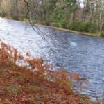 Bob Bishop's final resting place beside the River Arkaig