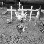 Graves of Sgt Clague AFPU,  and No.6 Cdos. Pte Simpson, Fus. Murray, and LCpl James (shown as Cohen)