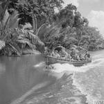 40 Commando RM, Sabah, Borneo, September 1964